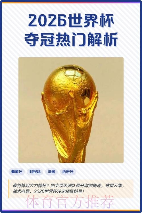 2026世界杯外围稳定热门